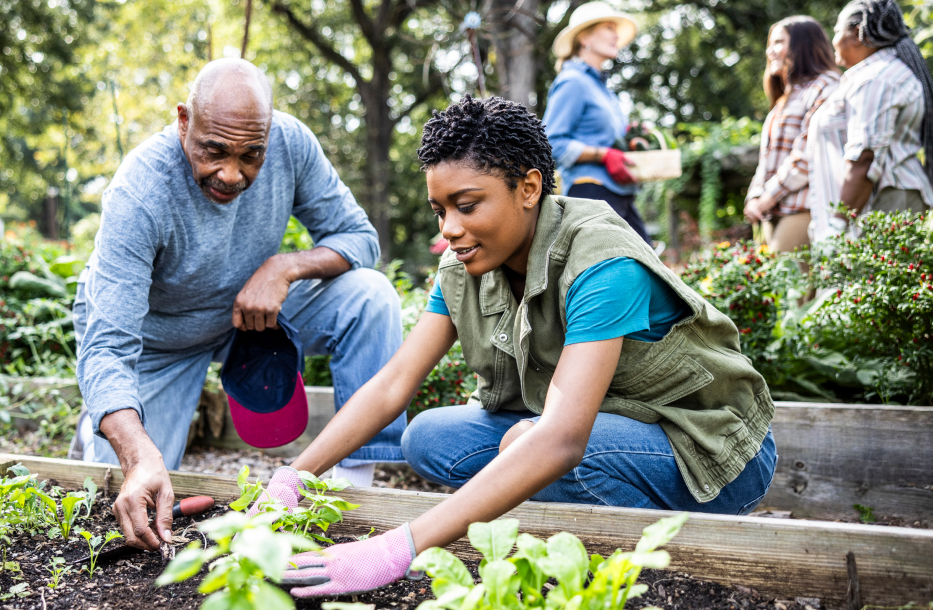 Several people working in a garden
